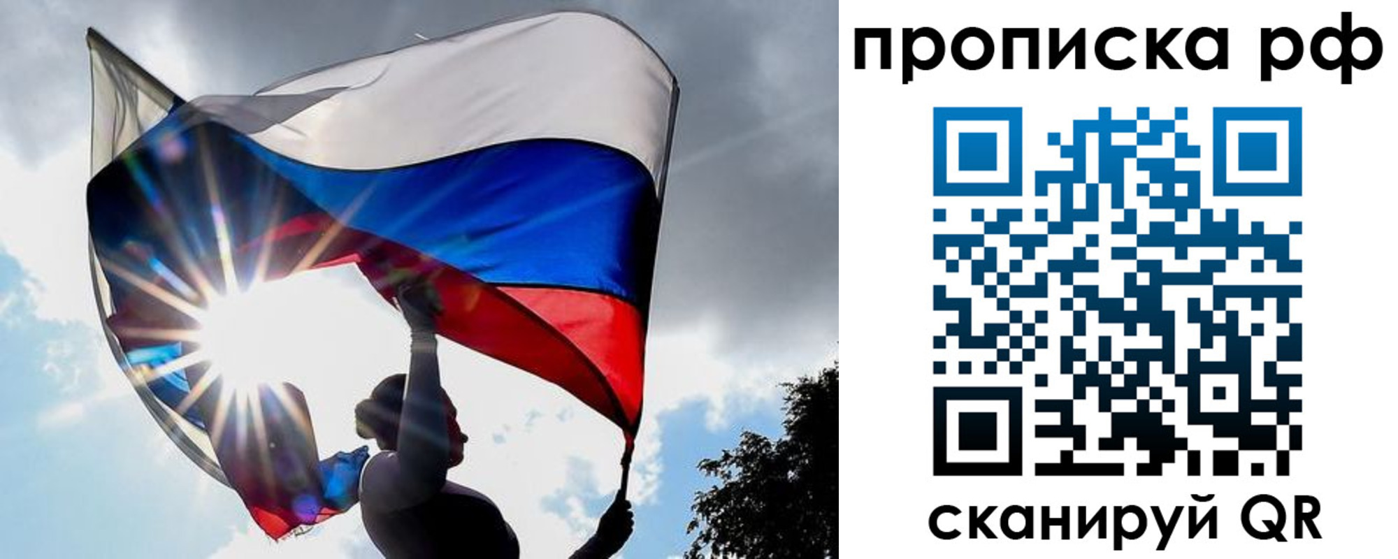 прописка для школы в Сертолово